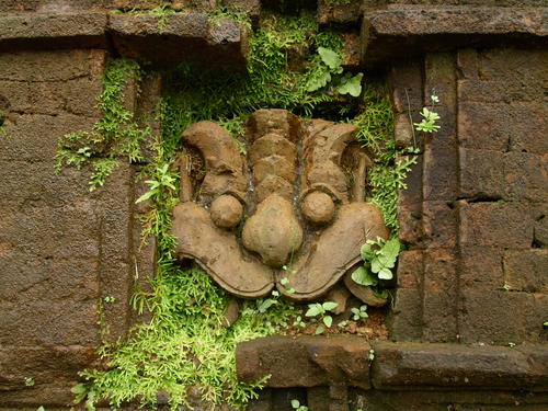 My Son Sanctuary